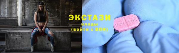 ECSTASY Богданович