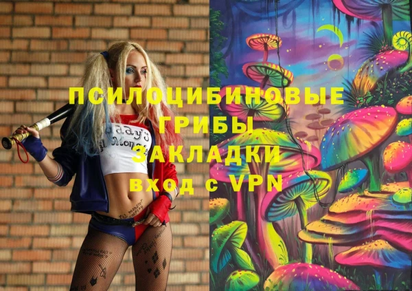 ECSTASY Богданович