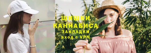 ECSTASY Богданович