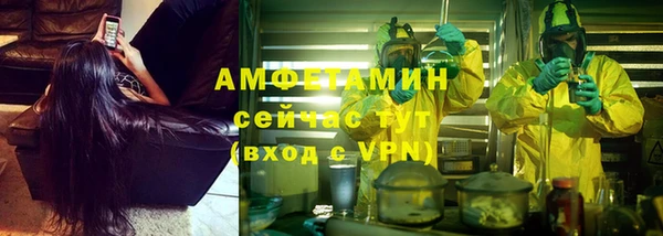ECSTASY Богданович