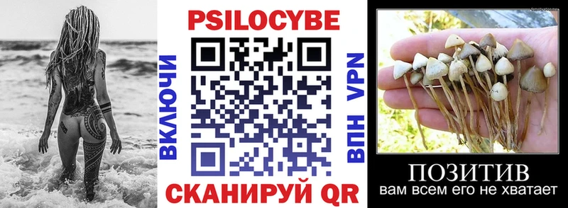 KRAKEN онион  Гаврилов-Ям  Галлюциногенные грибы Cubensis  купить наркотики цена 